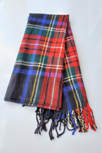 Multicolor Check Scarf